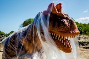
						Рядом с Приморским карьером в Янтарном готовят к открытию парк с гигантскими динозаврами (фото, видео)											