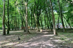 На территории еврейского кладбища в Калининграде обустроят мемориальный парк (фото)
На территории еврейского кладбища в Калининграде обустроят мемориальный парк (фото)