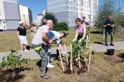 
						&laquo;Индия, Ладога и День Победы&raquo;: в сквере на Сельме высадили 150 кустов сирени (фото)			Избранное								