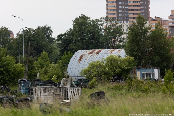 Нелётное поле: как выглядит аэродром Девау, который хотят превратить в ландшафтный парк (фото)