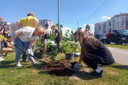 
						&laquo;Индия, Ладога и День Победы&raquo;: в сквере на Сельме высадили 150 кустов сирени (фото)			Избранное								