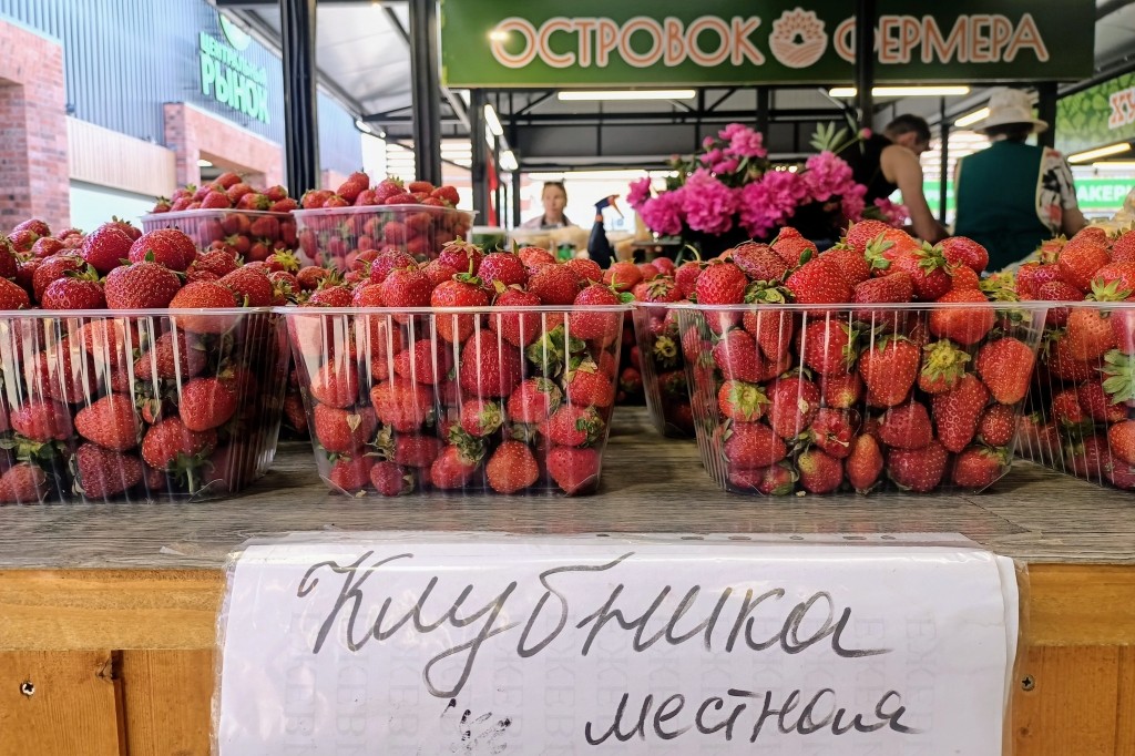 «Горячая ягода»: как изменилась цена на калининградскую клубнику из-за засухи Избранное
«Горячая ягода»: как изменилась цена на калининградскую клубнику из-за засухи Избранное
