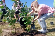 
						&laquo;Индия, Ладога и День Победы&raquo;: в сквере на Сельме высадили 150 кустов сирени (фото)			Избранное								