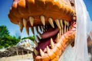 
						Рядом с Приморским карьером в Янтарном готовят к открытию парк с гигантскими динозаврами (фото, видео)											