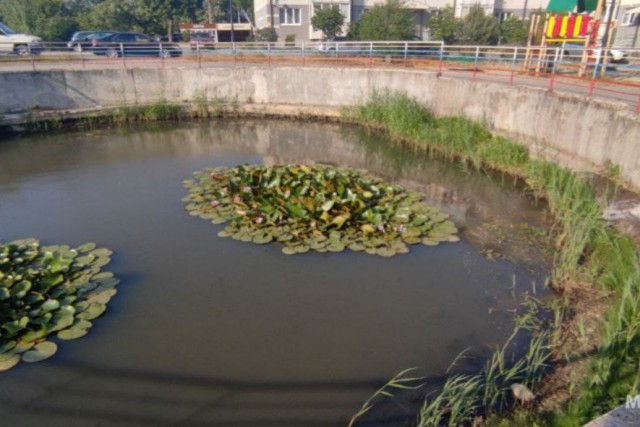 В Янтарном пожарные «спасли» пересыхающий водоём
В Янтарном пожарные «спасли» пересыхающий водоём