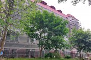 
						В Калининграде начали капремонт фасада Историко-художественного музея (фото)											