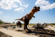 
						Рядом с Приморским карьером в Янтарном готовят к открытию парк с гигантскими динозаврами (фото, видео)											