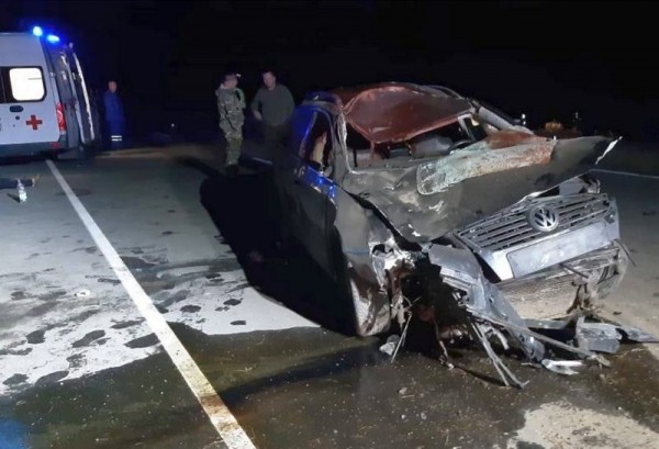 На берлинке 73-летняя пассажирка погибла из-за внезапно выбежавшего лося