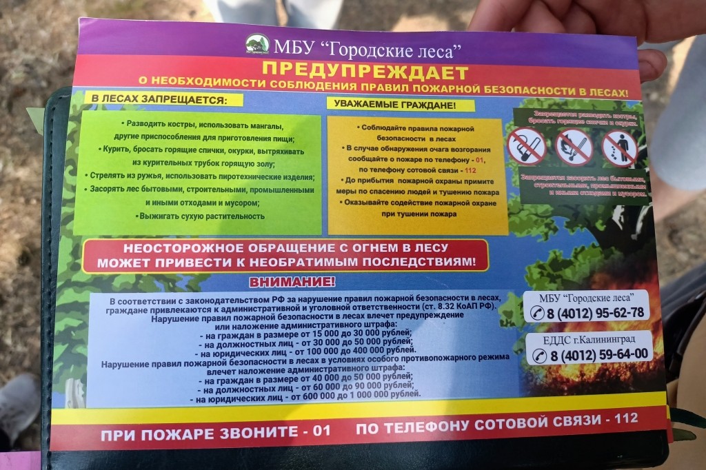 «Костры на иголках и запрещённый шашлык»: в Калининграде начались «пожарные» рейды по местам отдыха
«Костры на иголках и запрещённый шашлык»: в Калининграде начались «пожарные» рейды по местам отдыха