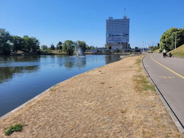 На Калининградскую область идут дожди На Калининградскую область идут дожди
