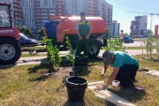 
						&laquo;Индия, Ладога и День Победы&raquo;: в сквере на Сельме высадили 150 кустов сирени (фото)			Избранное								