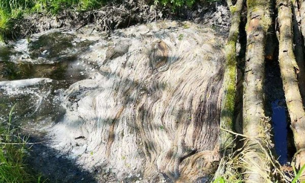 Сбросы в воду Багратионовского района признали загрязнением Сбросы в воду Багратионовского района признали загрязнением