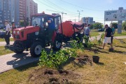 
						&laquo;Индия, Ладога и День Победы&raquo;: в сквере на Сельме высадили 150 кустов сирени (фото)			Избранное								