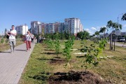 
						&laquo;Индия, Ладога и День Победы&raquo;: в сквере на Сельме высадили 150 кустов сирени (фото)			Избранное								