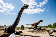 
						Рядом с Приморским карьером в Янтарном готовят к открытию парк с гигантскими динозаврами (фото, видео)											