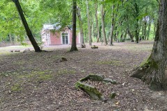 На территории еврейского кладбища в Калининграде обустроят мемориальный парк (фото)
На территории еврейского кладбища в Калининграде обустроят мемориальный парк (фото)