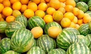 Поставки импортных арбузов и дынь в Калининградскую область выросли на 27 % Поставки импортных арбузов и дынь в Калининградскую область выросли на 27 %