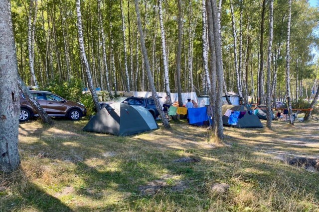 
						Администрация Зеленоградска: Мы возмущены варварским поведением некоторых отдыхающих											
