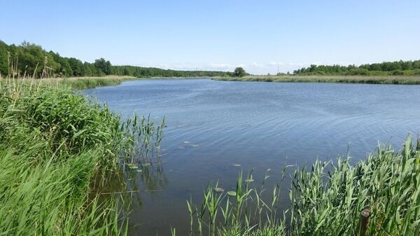 По следам тевтонских рыцарей. План путешествия в Калининградскую область