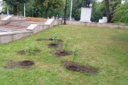 В центре Калининграда высадили 79 кустов сирени (фото)
В центре Калининграда высадили 79 кустов сирени (фото)