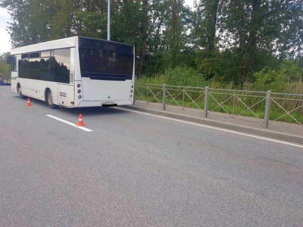 За сутки в автобусах травмированы две женщины За сутки в автобусах травмированы две женщины