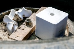 
						&laquo;На паровозе по полю&raquo;: под Зеленоградском открыли сафари-парк с необычными коровами (фото)			Избранное								