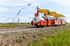 
						&laquo;На паровозе по полю&raquo;: под Зеленоградском открыли сафари-парк с необычными коровами (фото)			Избранное								