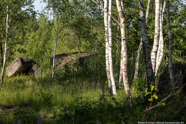Негде хоронить военных: как мемориал в Медведевке оказался на грани закрытия Негде хоронить военных: как мемориал в Медведевке оказался на грани закрытия