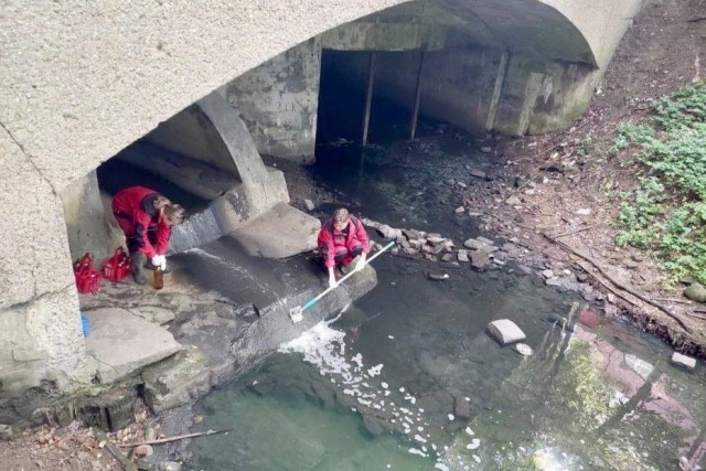 
						В Калининграде взяли пробы воды в Парковом ручье, чтобы выяснить источник загрязнения											