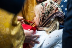 
						Патриарх Кирилл освятил храм на улице Левитана в Калининграде (фото)			Избранное								