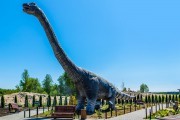 
						Парк с гигантскими динозаврами в Янтарном откроют 15 июля (фото)											