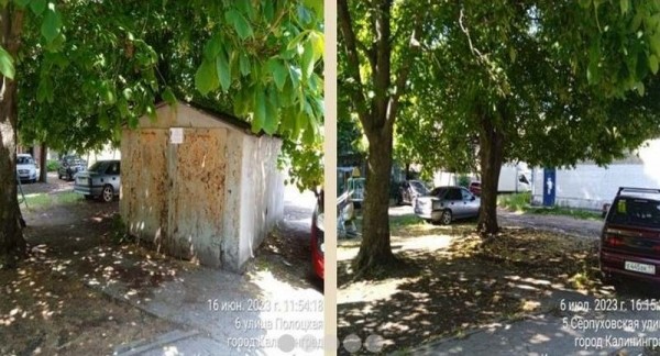 В Калининграде массово сносят нелегальные постройки и заборы