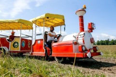 
						&laquo;На паровозе по полю&raquo;: под Зеленоградском открыли сафари-парк с необычными коровами (фото)			Избранное								