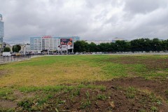 «Победила лебеда»: власти недовольны газоном на руинах Королевского замка в Калининграде (фото)
«Победила лебеда»: власти недовольны газоном на руинах Королевского замка в Калининграде (фото)