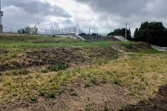 «Победила лебеда»: власти недовольны газоном на руинах Королевского замка в Калининграде (фото)
«Победила лебеда»: власти недовольны газоном на руинах Королевского замка в Калининграде (фото)