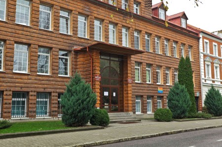 С администрации Гусева взыскали почти 200 тыс. руб. за упавшее на автомобиль дерево