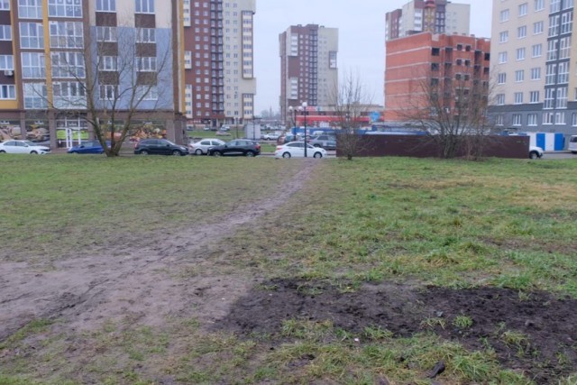 «Народные тропы» в сквере с сакурами на Сельме замостят плиткой
«Народные тропы» в сквере с сакурами на Сельме замостят плиткой