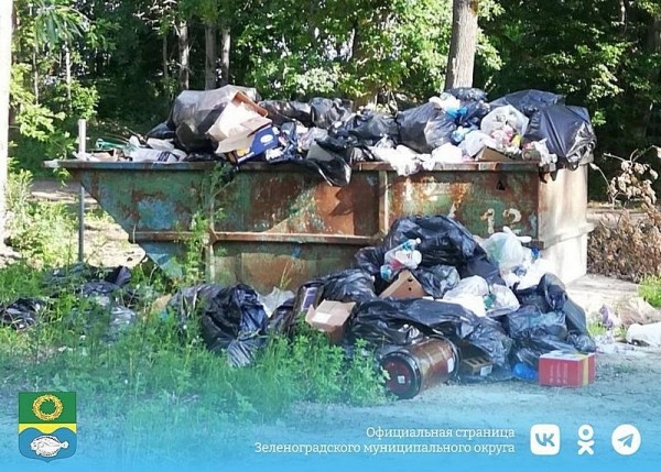 Под Зеленоградском отдыхающие организовали свалку за чужой счёт Под Зеленоградском отдыхающие организовали свалку за чужой счёт