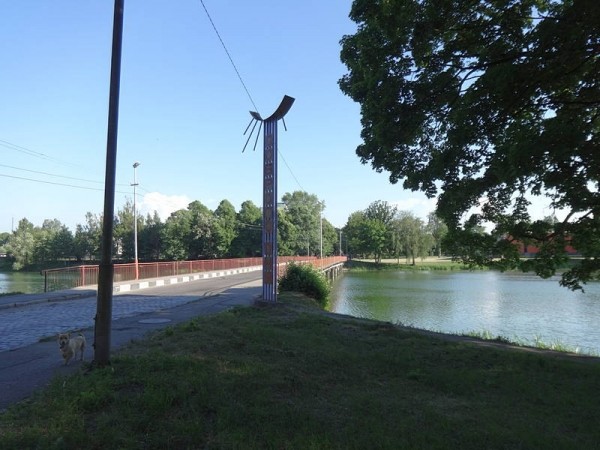 В городском озере в Советске нельзя купаться из-за массы фекалий В городском озере в Советске нельзя купаться из-за массы фекалий