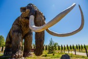 
						Парк с гигантскими динозаврами в Янтарном откроют 15 июля (фото)											