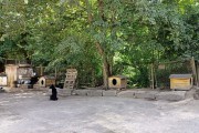 «Крепость за валом»: как готовят к реставрации замок Нойхаузен в Гурьевске (фото)
«Крепость за валом»: как готовят к реставрации замок Нойхаузен в Гурьевске (фото)