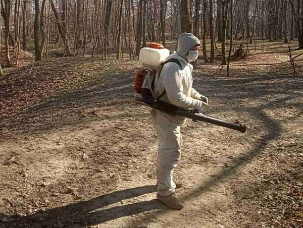 Жителей Калининградской области предупредили о новом нашествии клещей Жителей Калининградской области предупредили о новом нашествии клещей